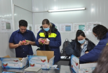 KỲ VỌNG XUẤT KHẨU NÔNG SẢN SANG MỸ NĂM 2020 ĐẠT 20 TRIỆU USD
